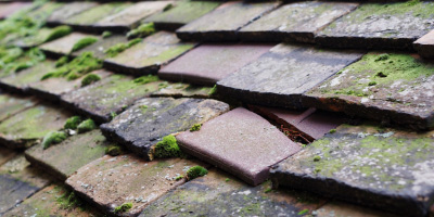 Penperlleni roof repair costs